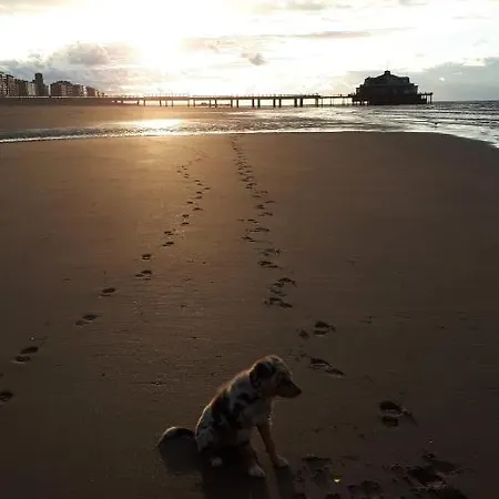 Апартаменты Jean Gezellig Met Zeezicht Бланкенберге