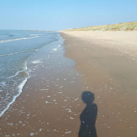 Jean Gezellig Met Zeezicht بلانكنبرخ